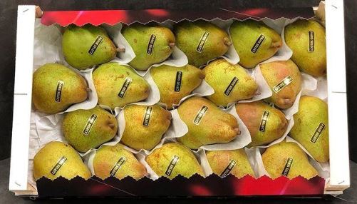 Pear, Comice from France (Organic) - Cheese Club Hong Kong