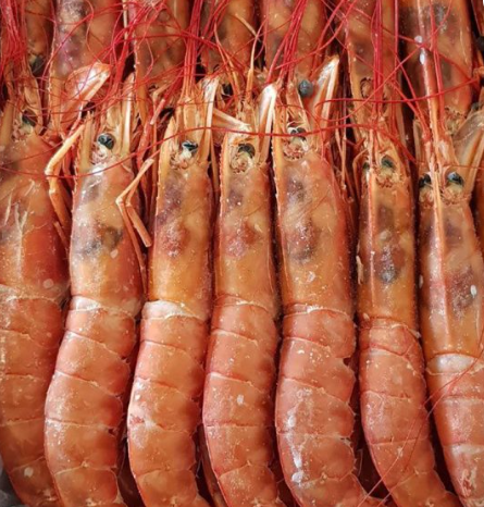 IQF Argentina Pink Shrimps 10/20 (Head on Shell on) 2kg/box