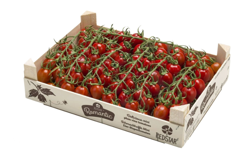 Tomatoes Mini Plum on Vines Picadilly ~1kg