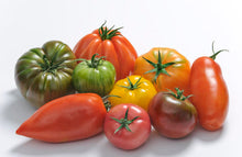 Load image into Gallery viewer, Tomatoes Classic Heirloom (Random mix) ~1kg (France)
