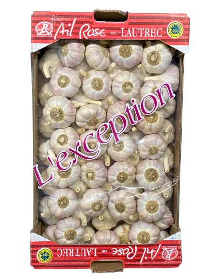 Pink Garlic ~500g