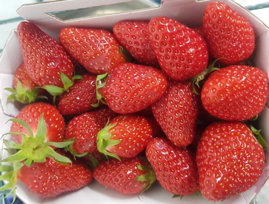 Strawberries Gariguette 250g (FR)
