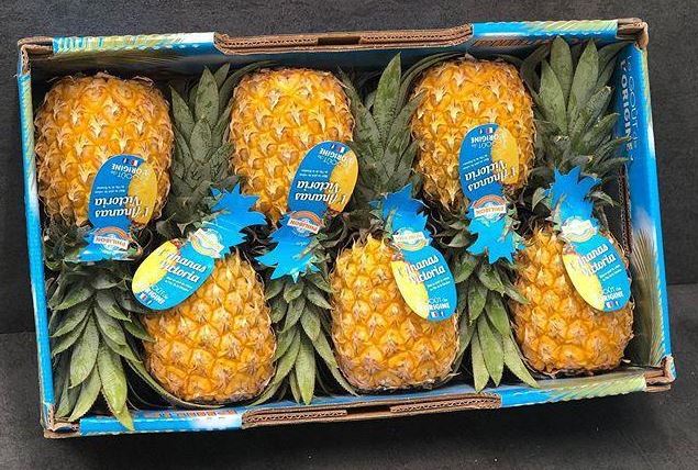 Pineapples Victoria ~1kg (FR)