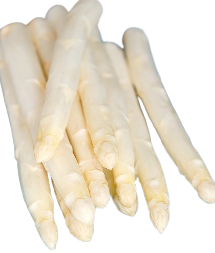 Asparagus White 20-28mm 1kg Holland